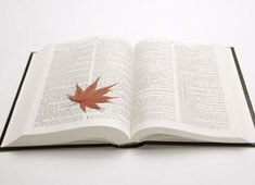 尤文图斯客场告捷，锁定小组头名