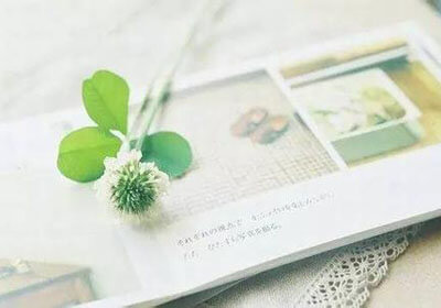 布里斯托尔流浪客场不敌，战绩持续低迷