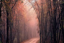 od体育网址-火箭五连败揭示危机,快船逆转夺冠的背后秘密